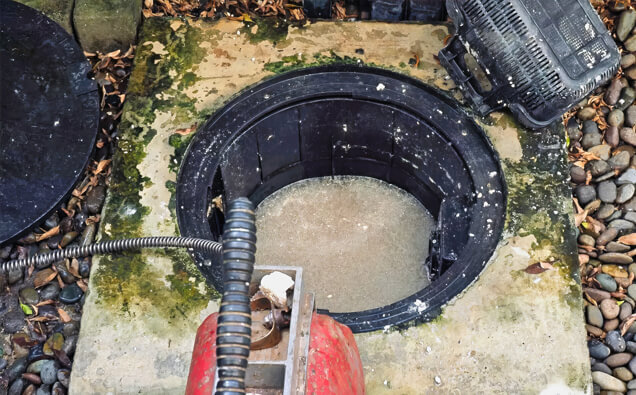 https://plumbercraigie.com.au/uploads/2025/06/blocked-drains-820453.jpg